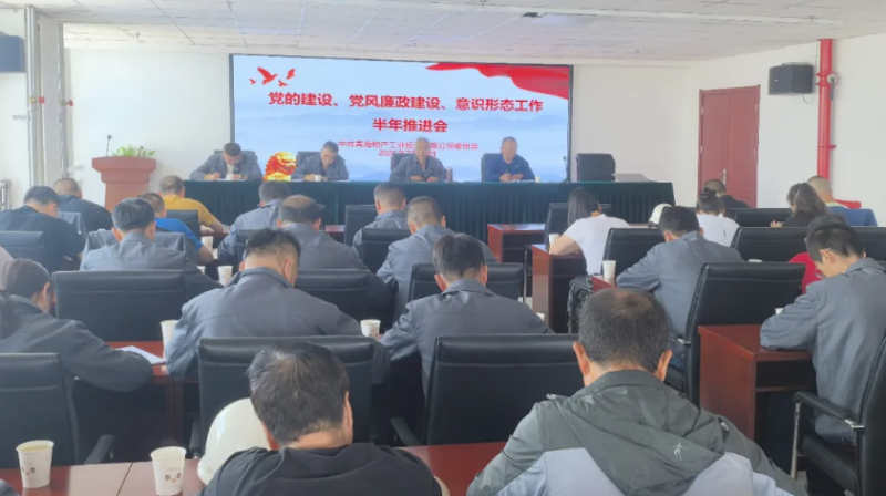工投公司黨委召開黨的建設(shè)、黨風(fēng)廉政建設(shè)、意識形態(tài)工作半年推進會