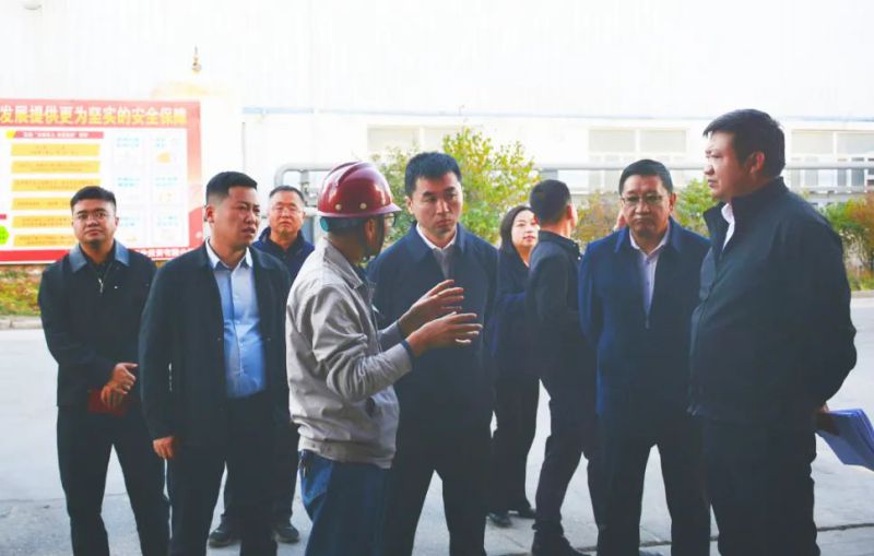 大通縣委副書記、縣長馬明旭一行蒞臨工投公司調(diào)研指導(dǎo)