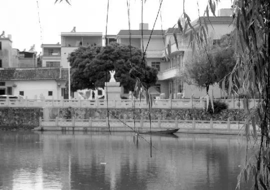 老鄉(xiāng)眼里的李河君：陌生富豪，夫人助其發(fā)財(cái)